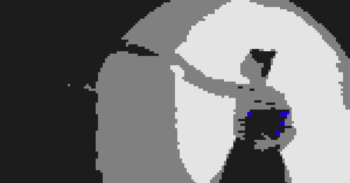 Cover of Denitsa Slaveva